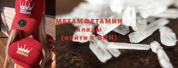 гидра Няндома