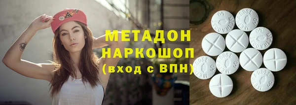 гидра Няндома