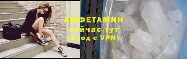 гидра Няндома